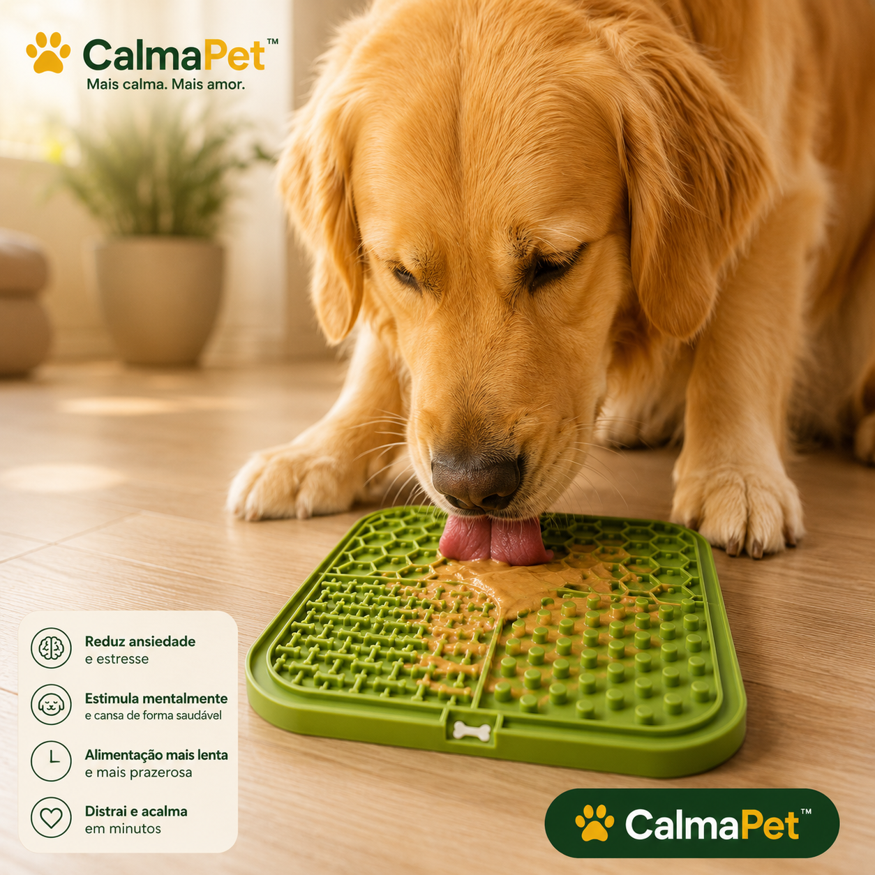 Golden retriever usando CalmaPet™