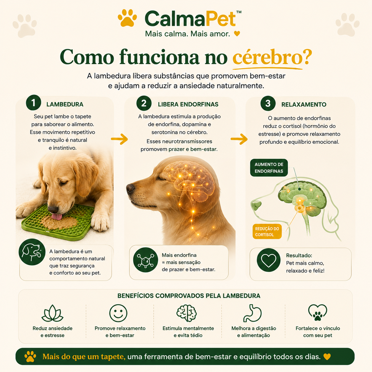 Como funciona no cérebro